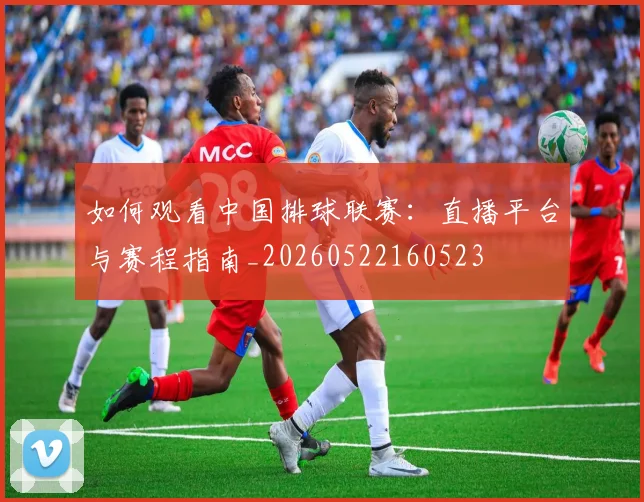 如何观看中国排球联赛：直播平台与赛程指南_20260522160523