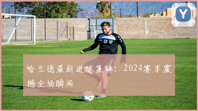 哈兰德最新进球集锦：2024赛季震撼全场瞬间