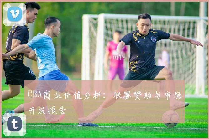 CBA商业价值分析:联赛赞助与市场开发报告